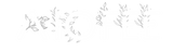 Aiofee